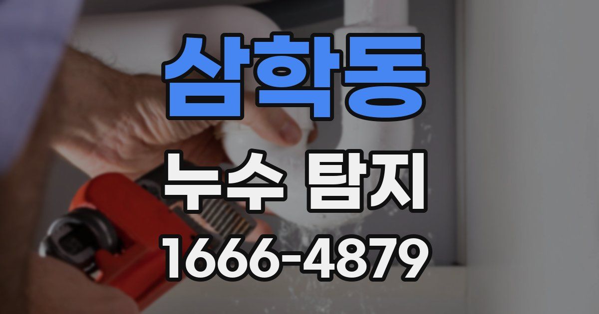 삼학동 누수 탐지