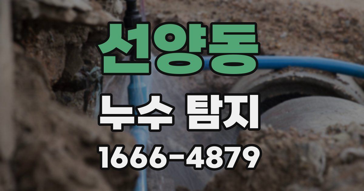 선양동 누수 탐지