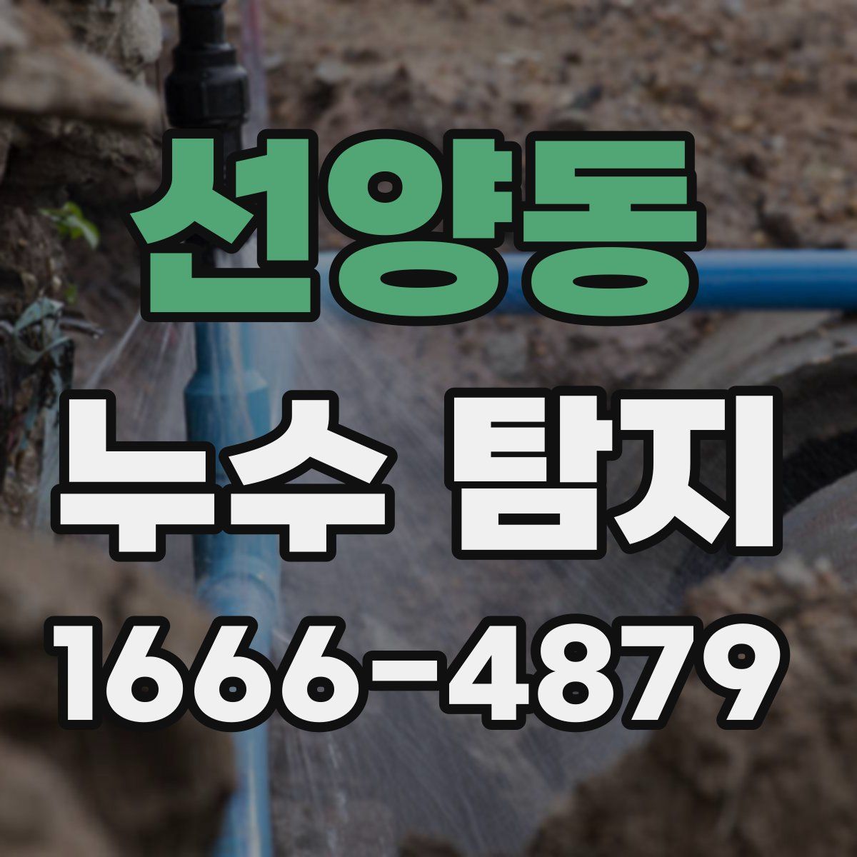 선양동 누수 탐지