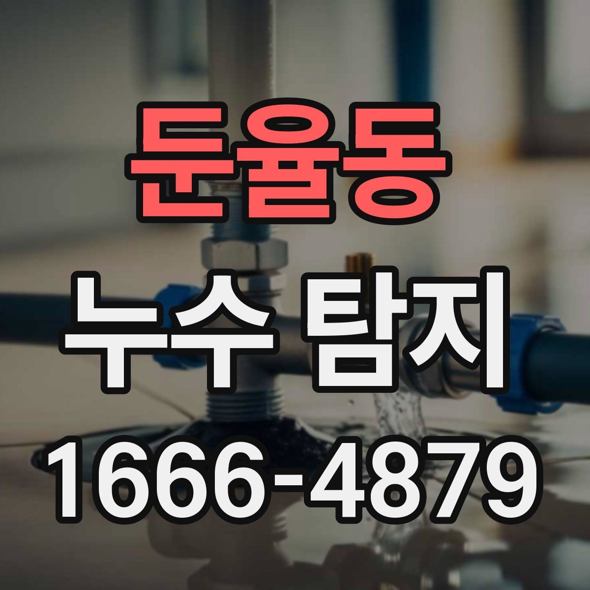 둔율동 누수 탐지