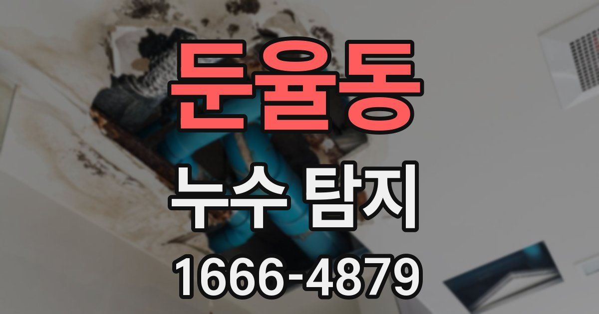 둔율동 누수 탐지