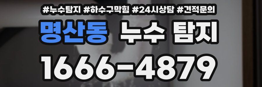 명산동 누수 탐지