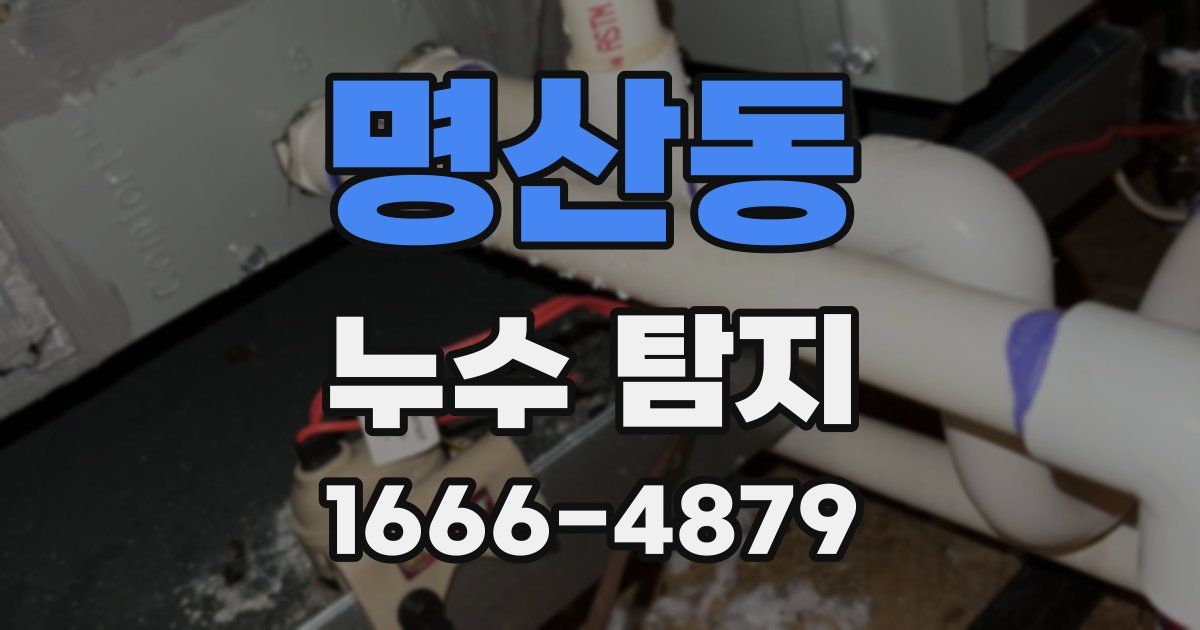 명산동 누수 탐지