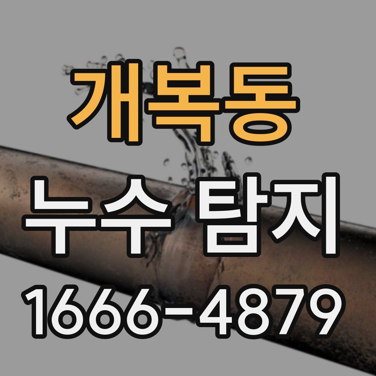 개복동 누수 탐지