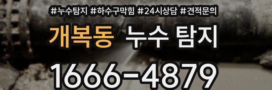 개복동 누수 탐지