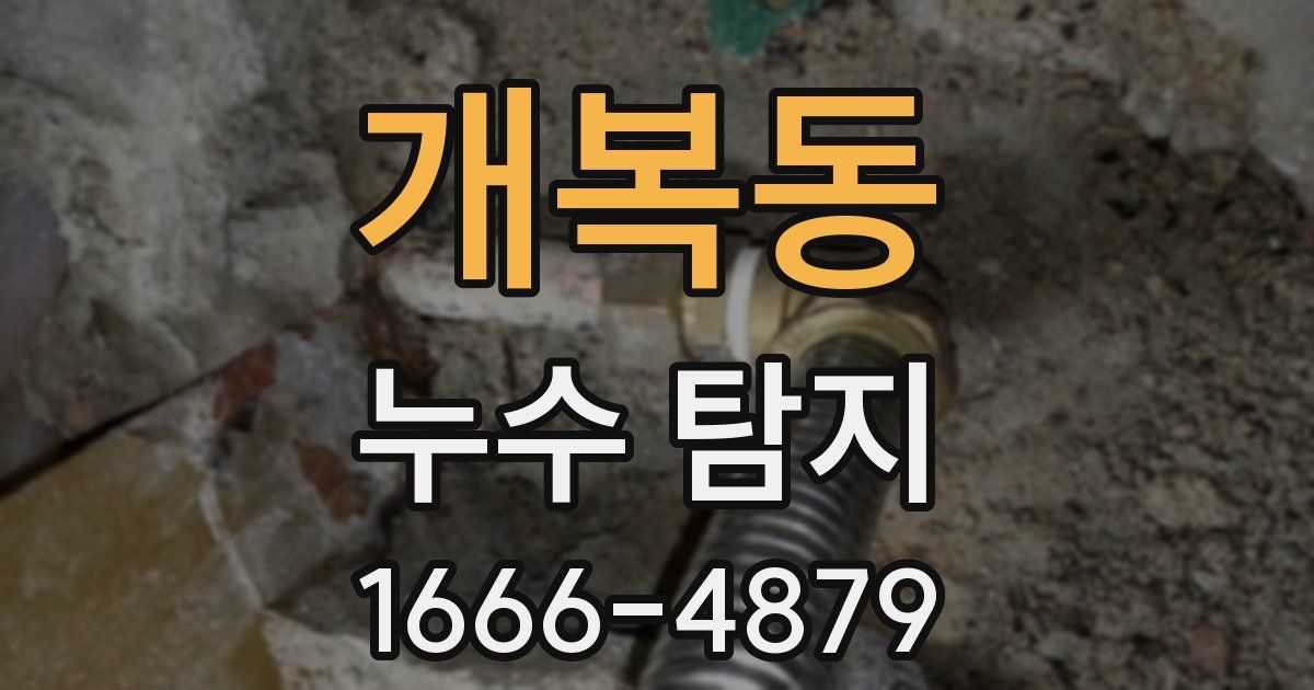 개복동 누수 탐지