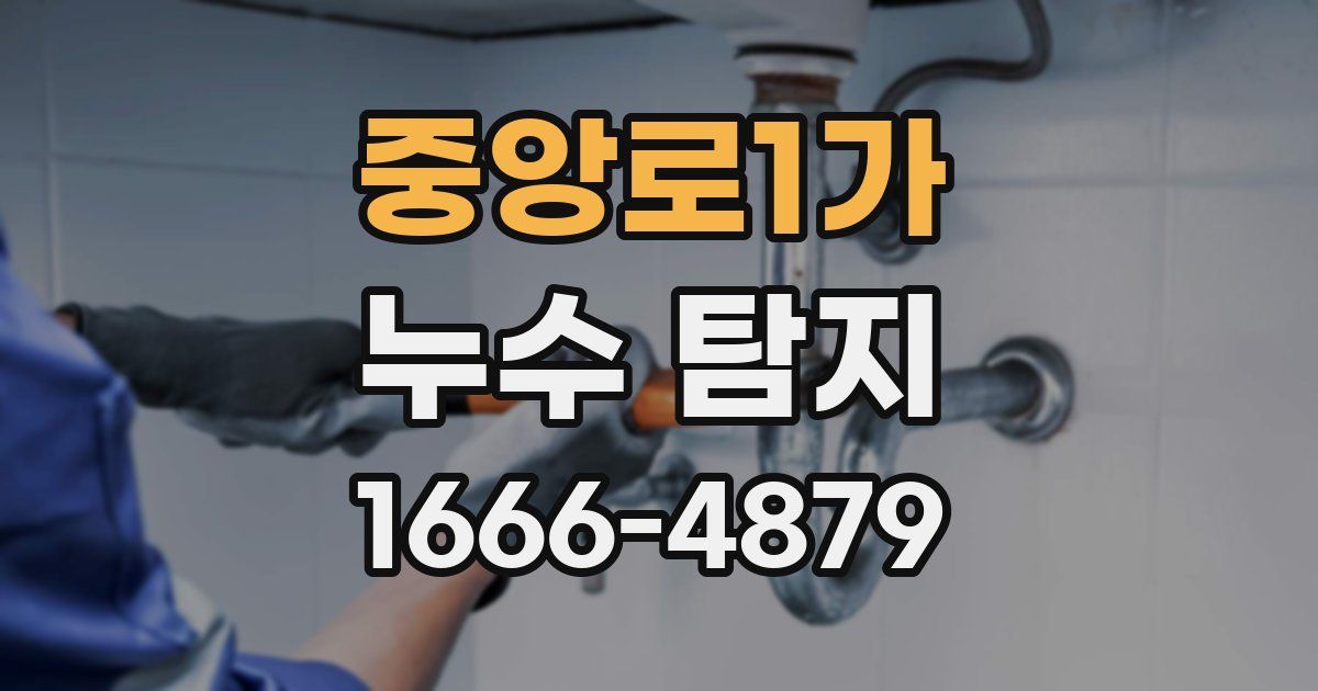 중앙로1가 누수 탐지