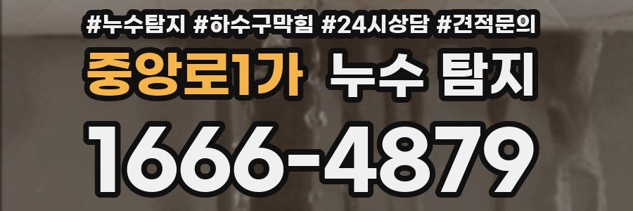 중앙로1가 누수 탐지