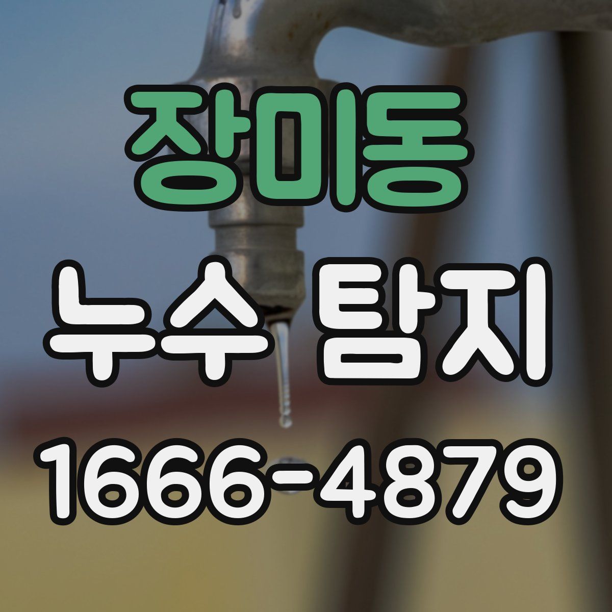 장미동 누수 탐지