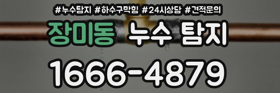 장미동 누수 탐지