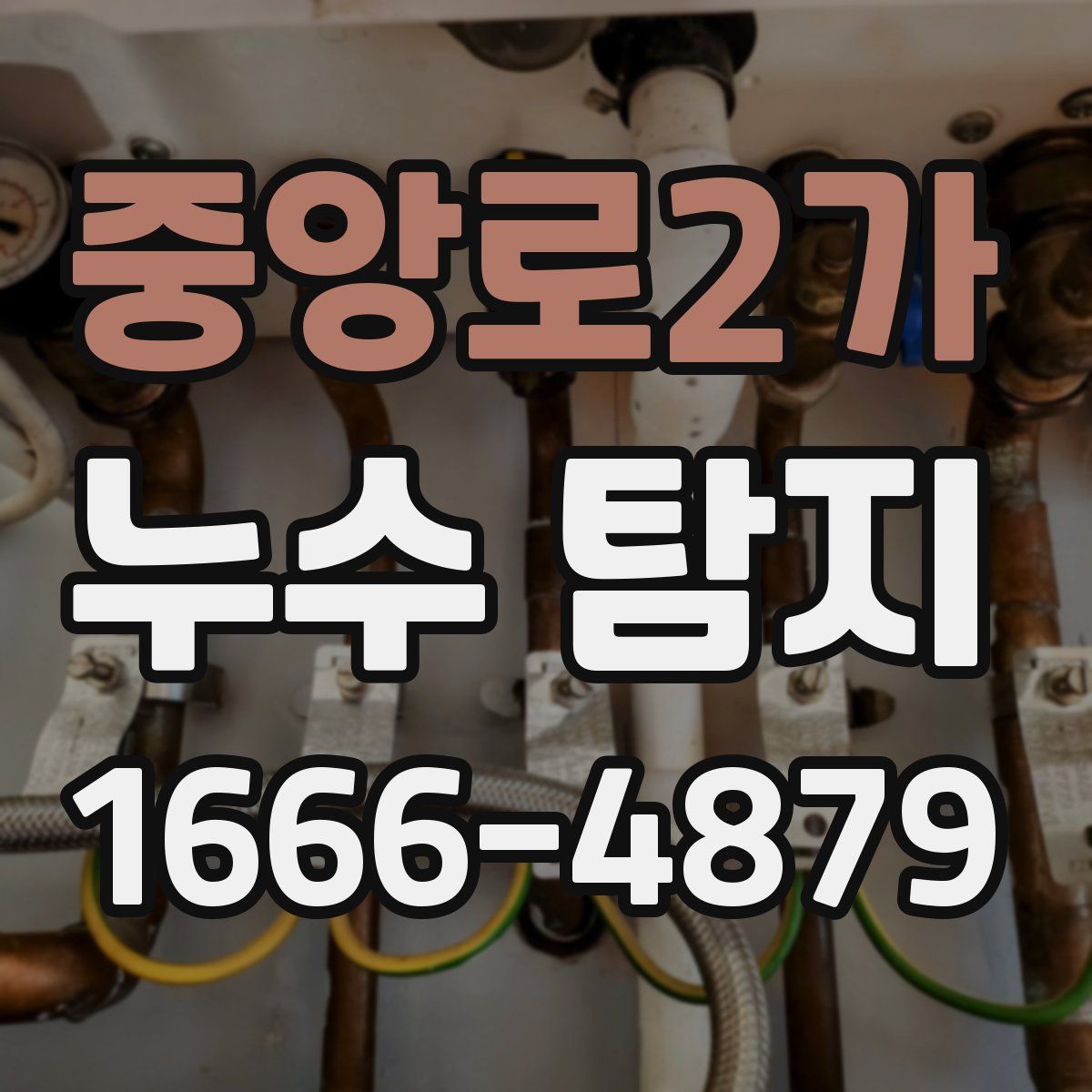 중앙로2가 누수 탐지