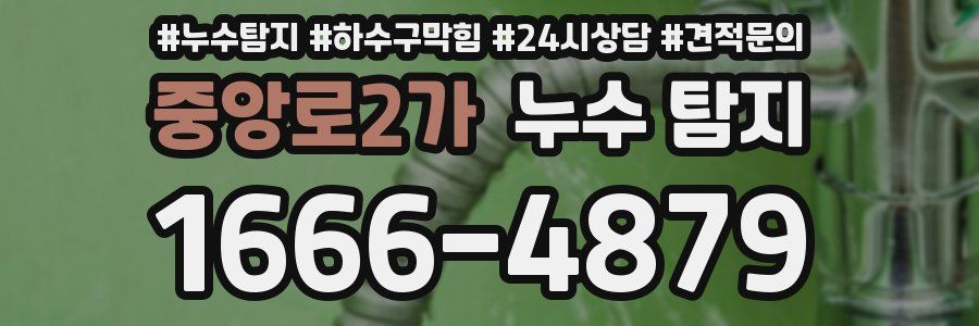 중앙로2가 누수 탐지