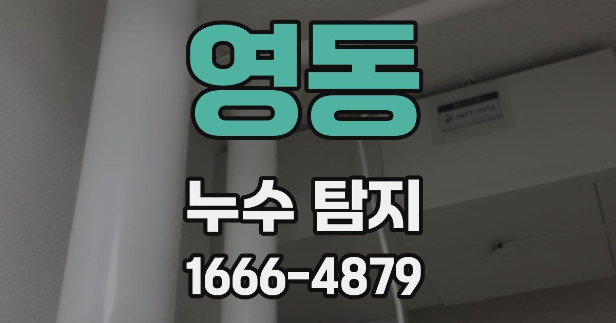 영동 누수 탐지