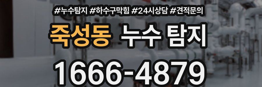 죽성동 누수 탐지