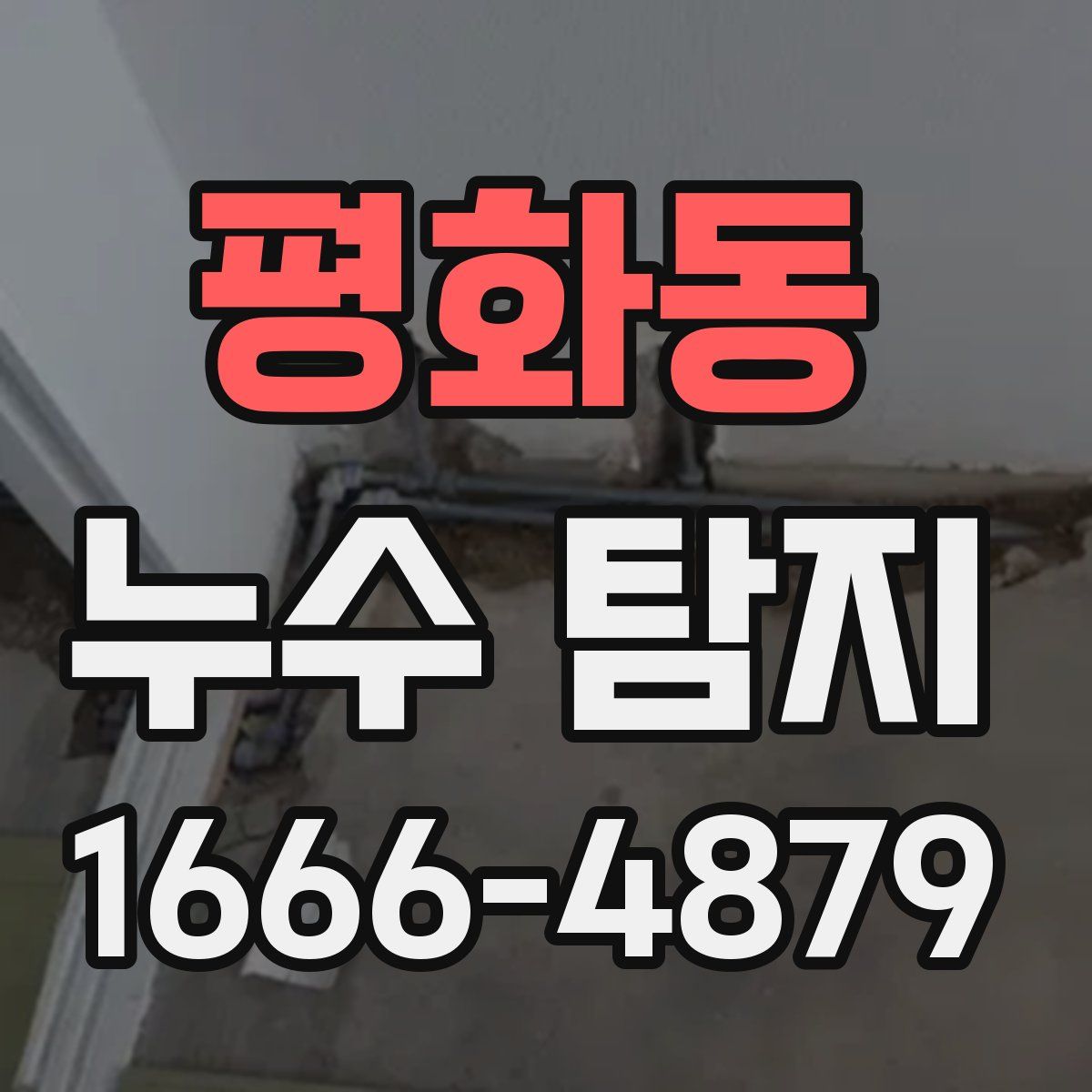 평화동 누수 탐지