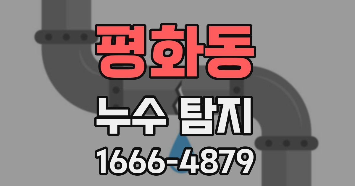 평화동 누수 탐지
