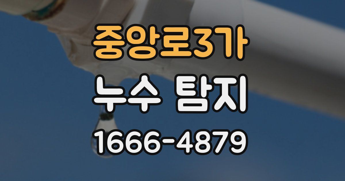 중앙로3가 누수 탐지
