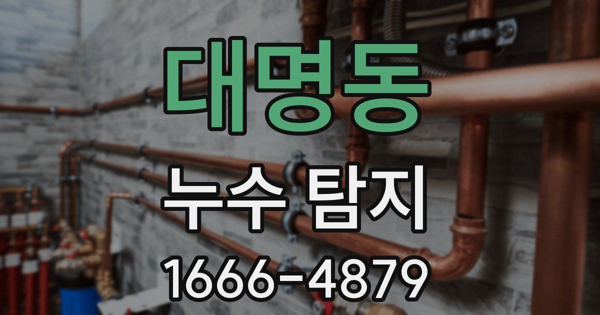 대명동 누수 탐지
