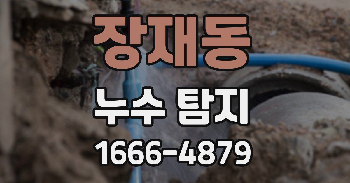 장재동 누수 탐지