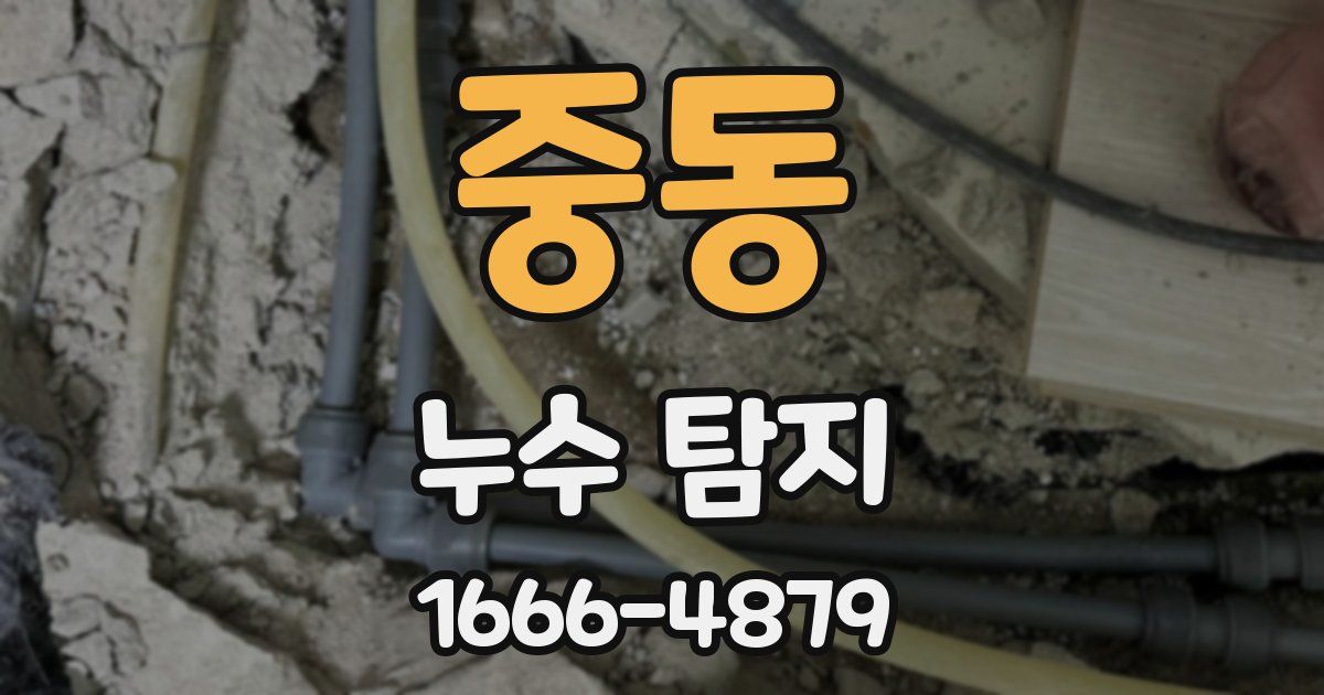 중동 누수 탐지