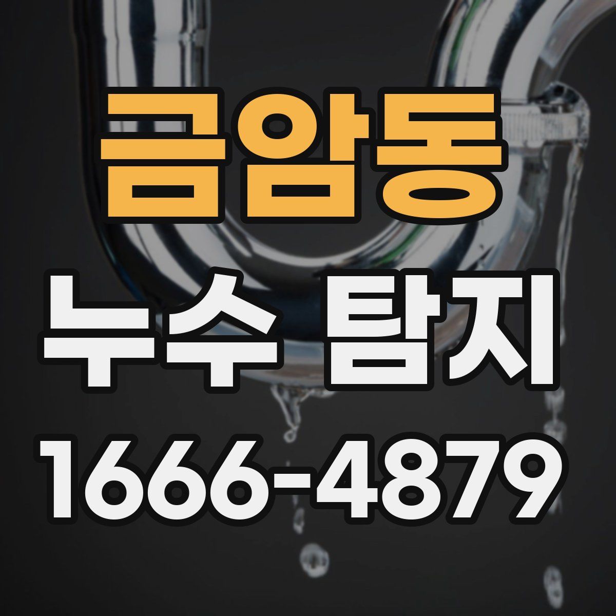금암동 누수 탐지
