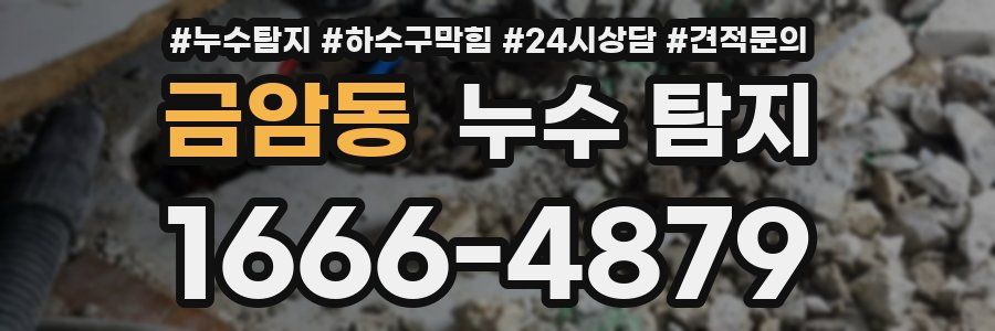 금암동 누수 탐지