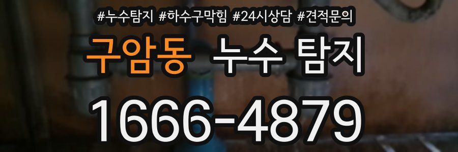 구암동 누수 탐지