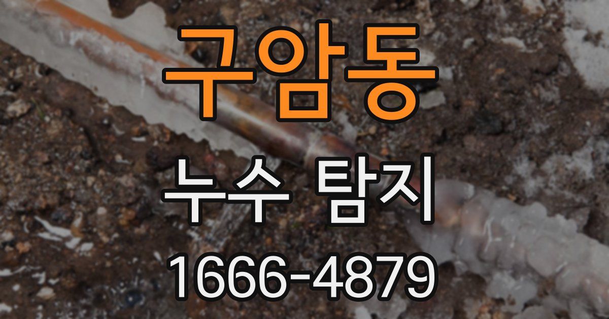 구암동 누수 탐지