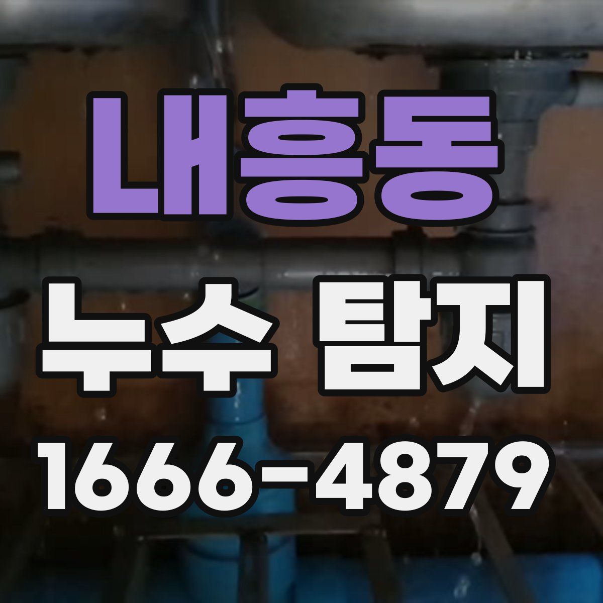 내흥동 누수 탐지