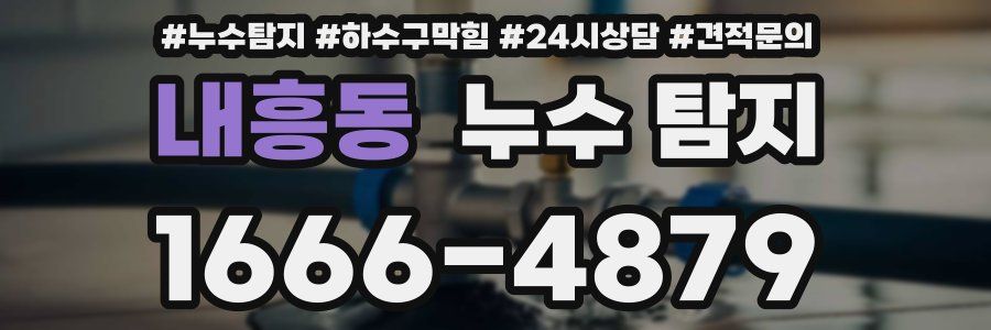 내흥동 누수 탐지