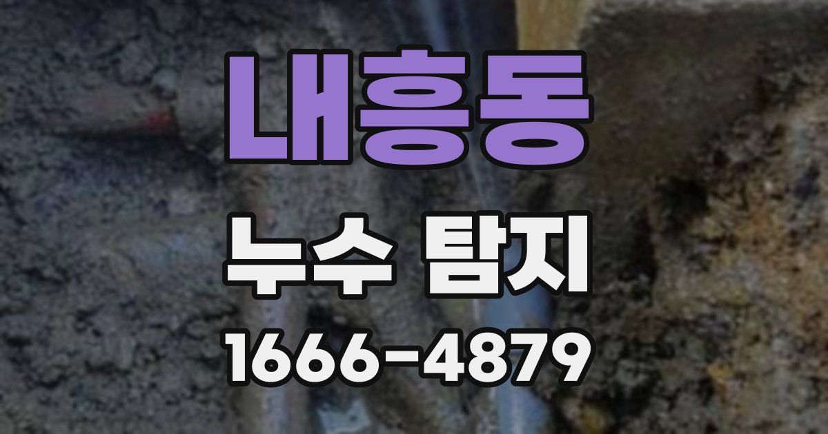 내흥동 누수 탐지