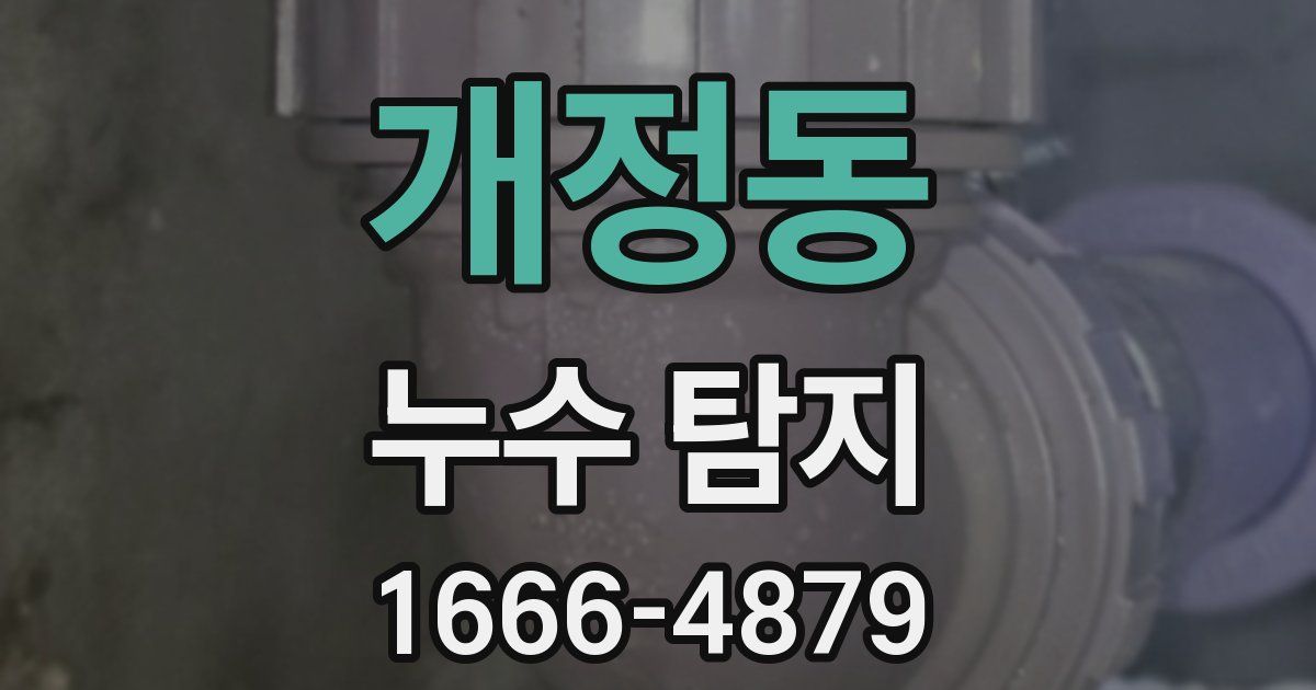 개정동 누수 탐지