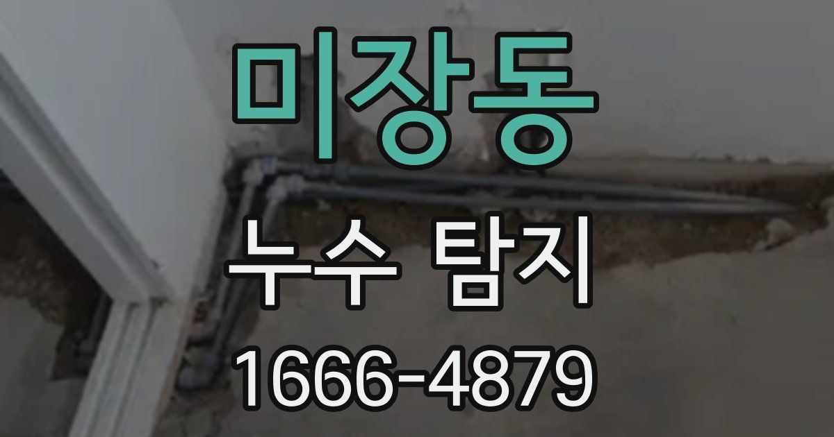 미장동 누수 탐지