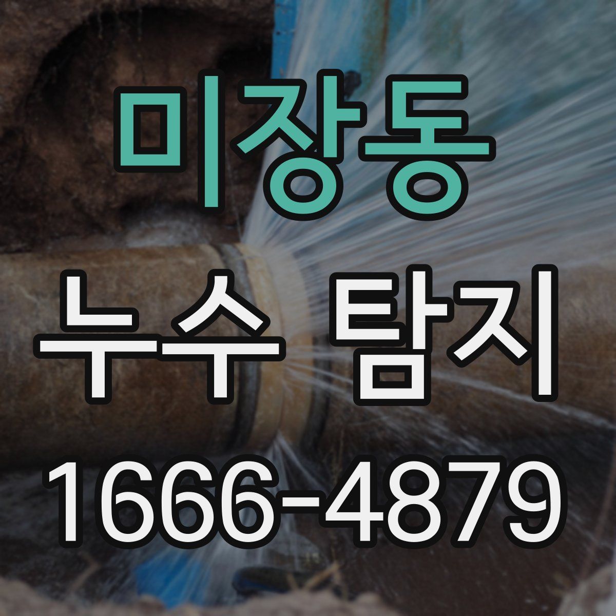 미장동 누수 탐지