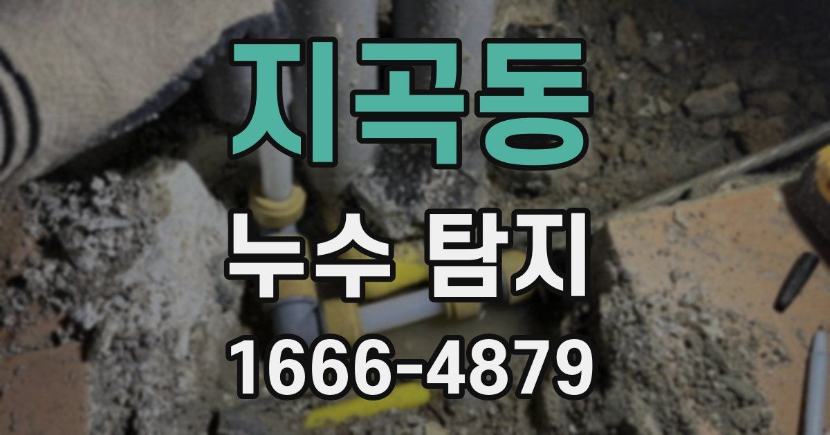 지곡동 누수 탐지