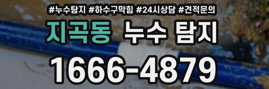 지곡동 누수 탐지