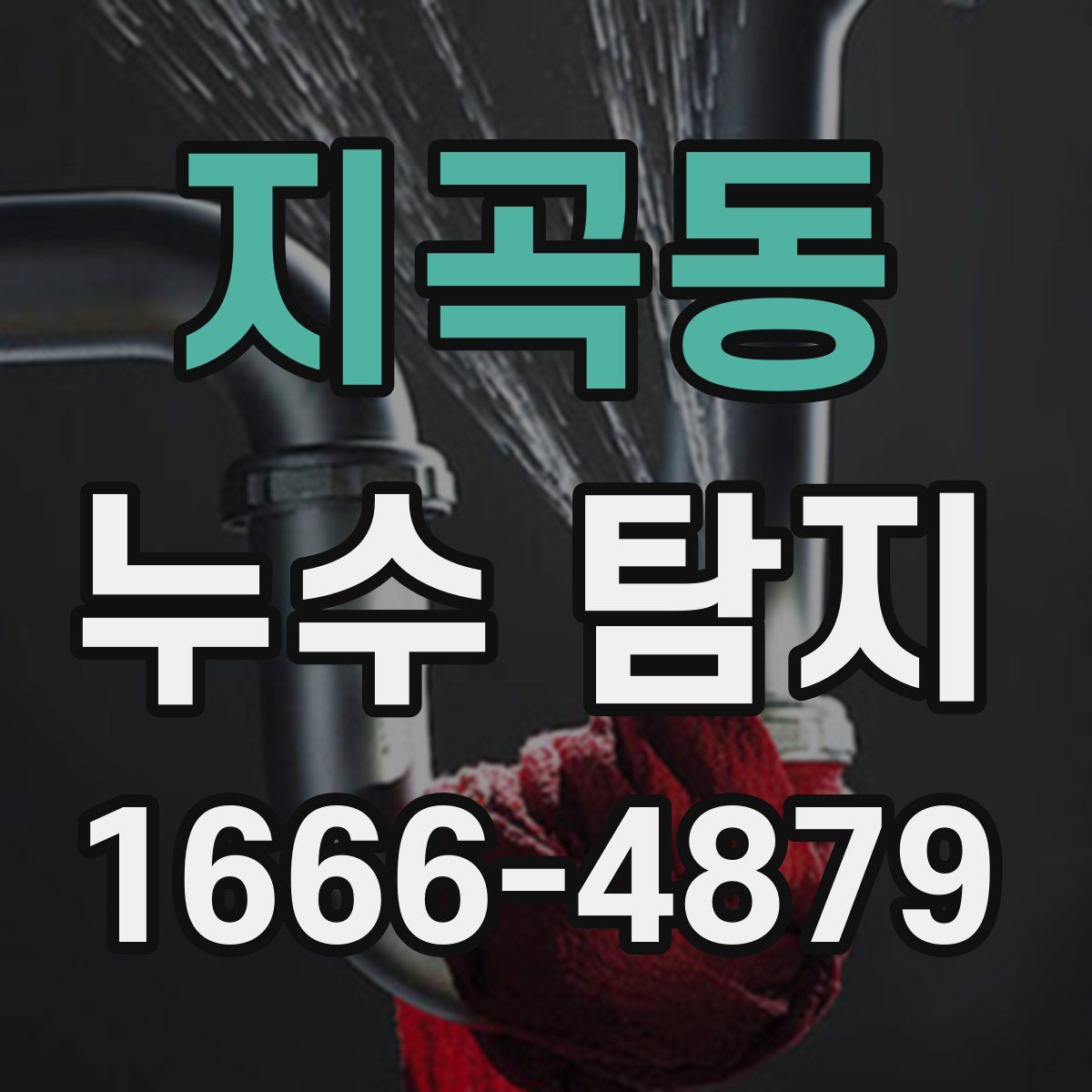 지곡동 누수 탐지