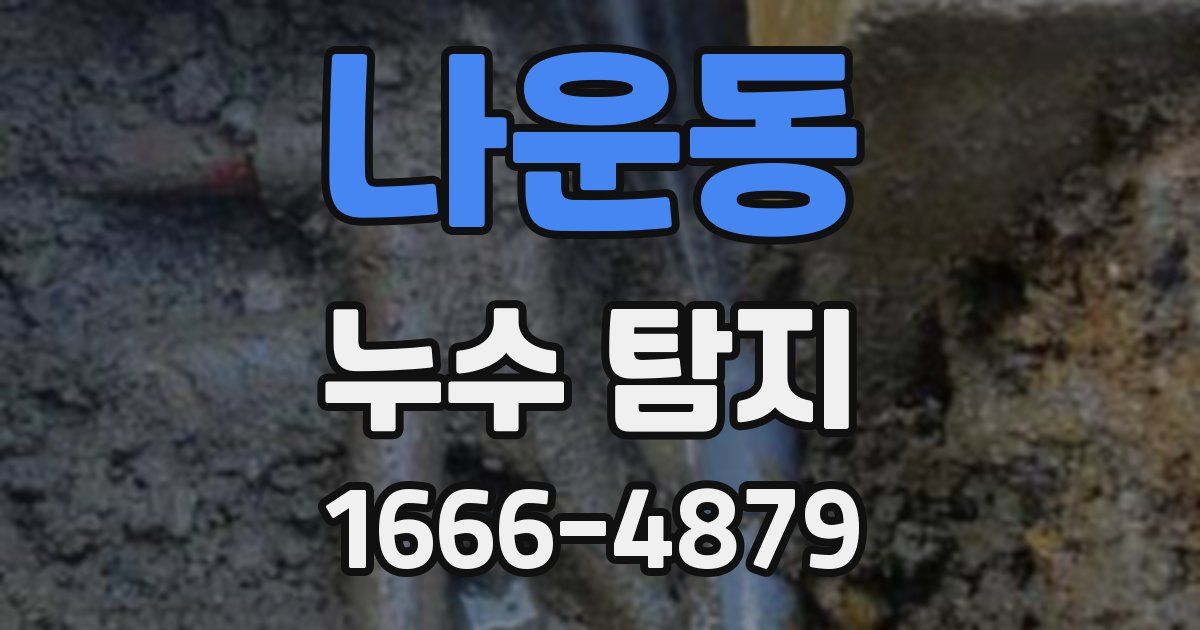 나운동 누수 탐지