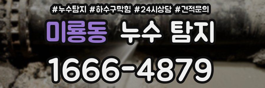 미룡동 누수 탐지