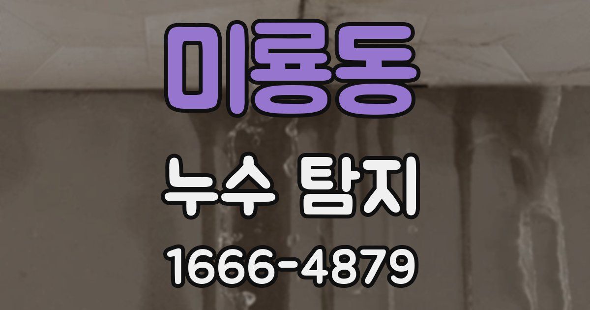 미룡동 누수 탐지