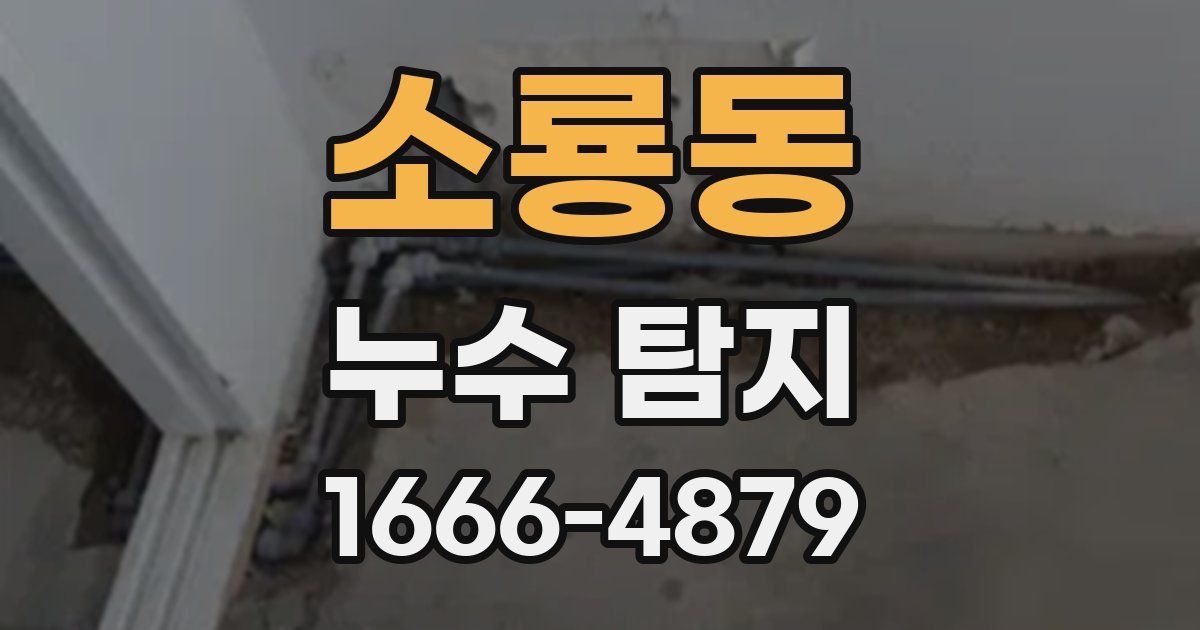 소룡동 누수 탐지
