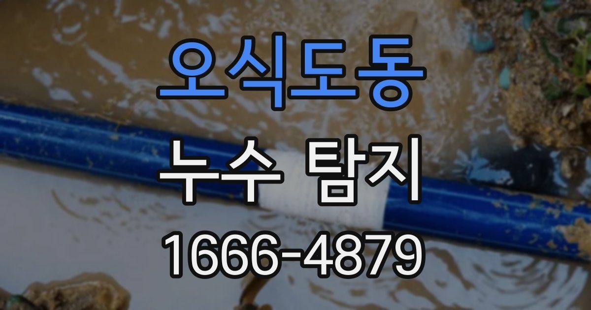 오식도동 누수 탐지
