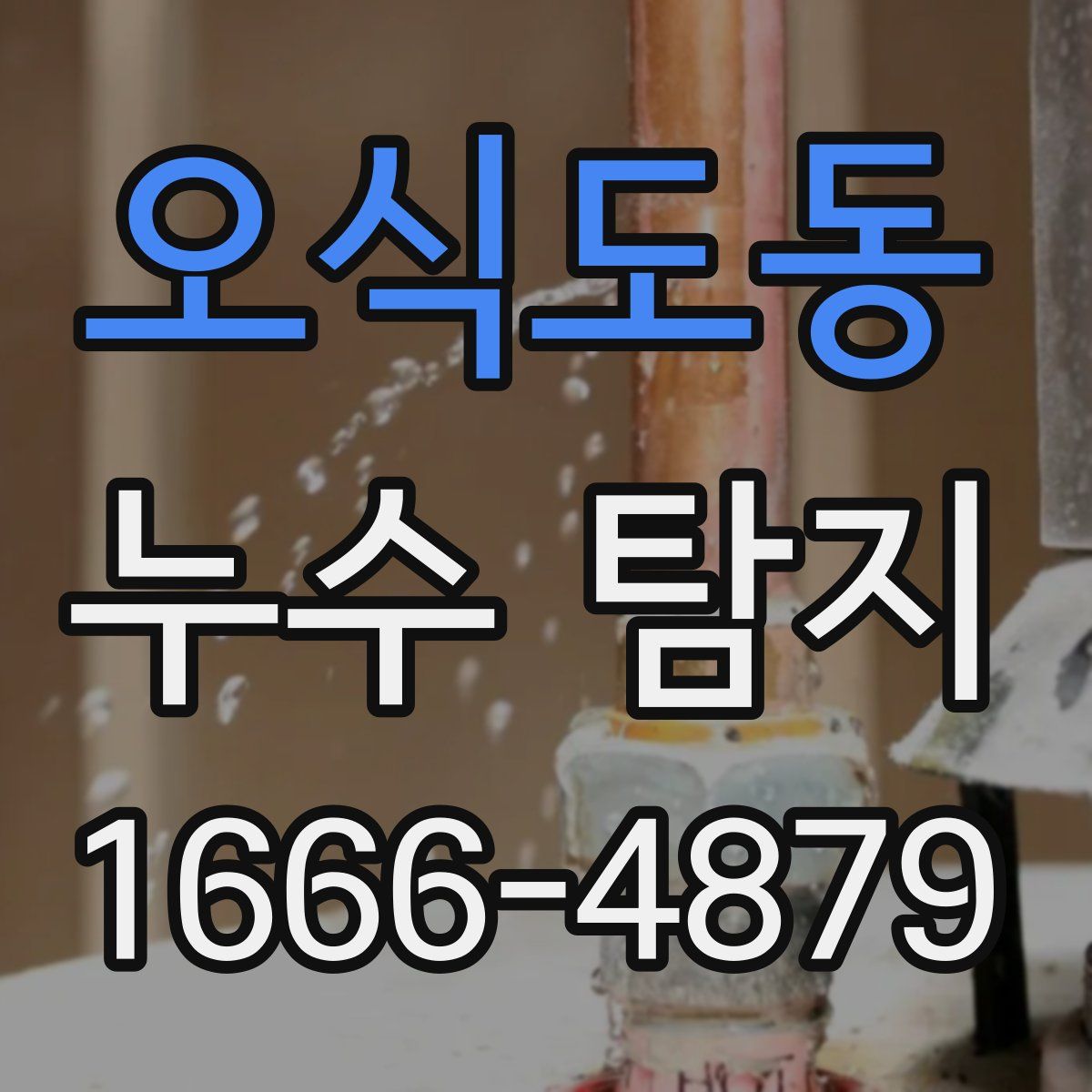 오식도동 누수 탐지