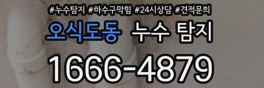오식도동 누수 탐지