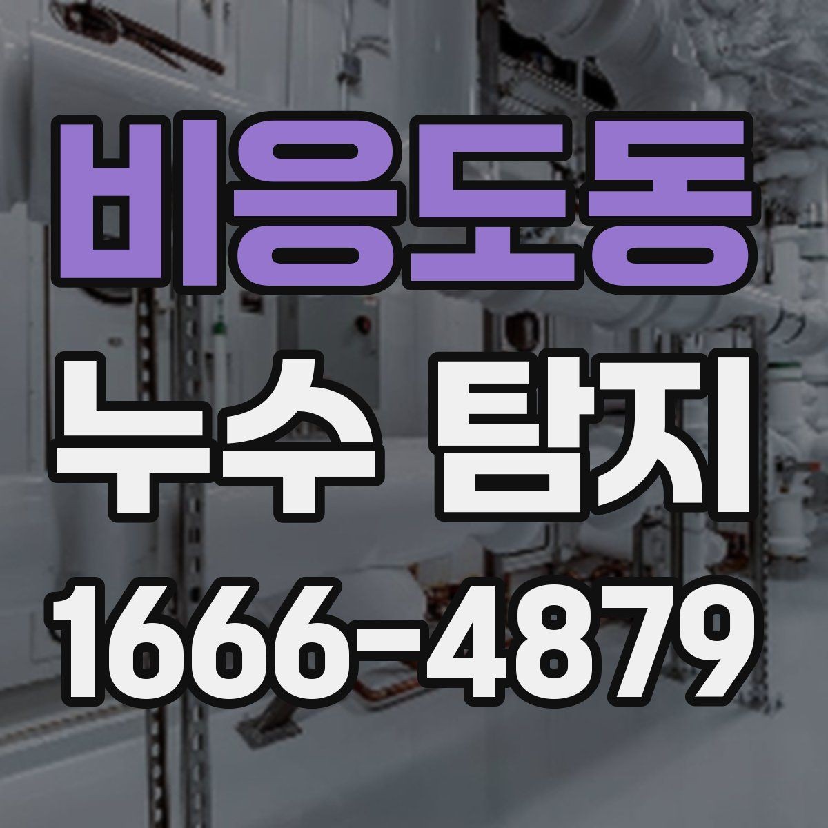 비응도동 누수 탐지 업체 비교 시 봐야 할 항목