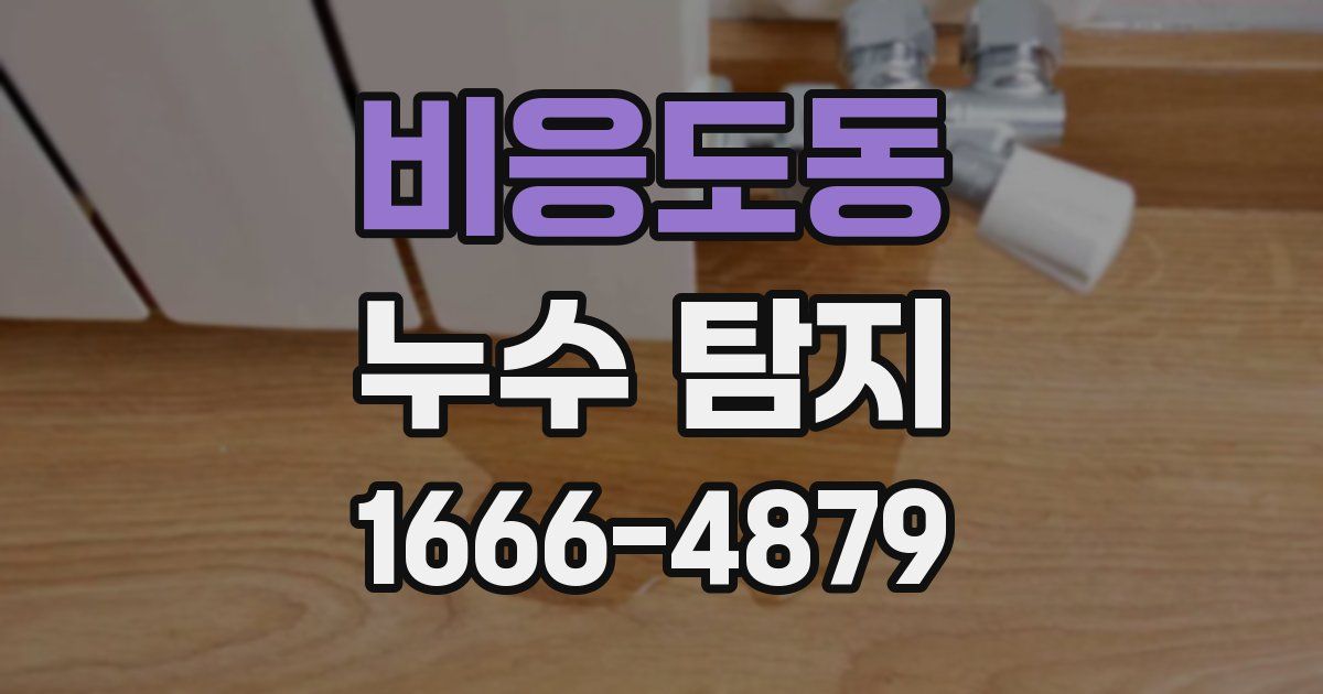 비응도동 누수 탐지
