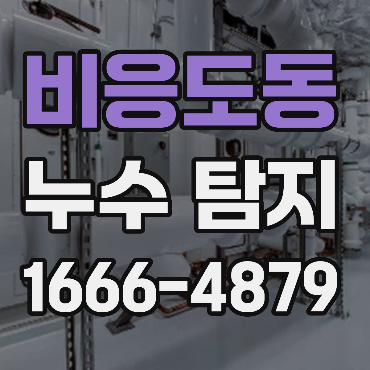 비응도동 누수 탐지