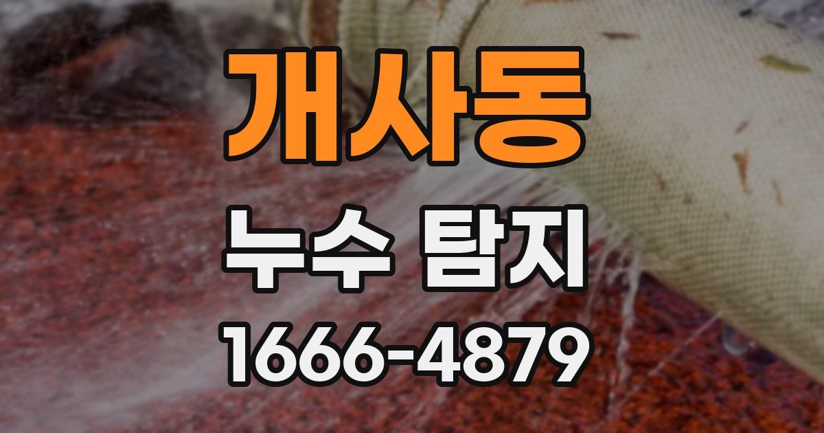 개사동 누수 탐지