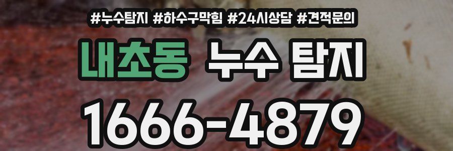 내초동 누수 탐지