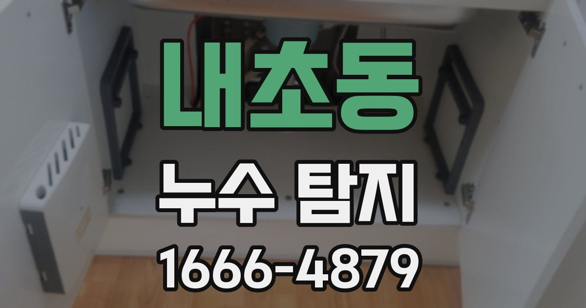 내초동 누수 탐지